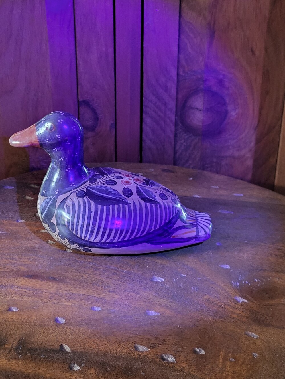 Tonala Duck - Picture 12 of 15